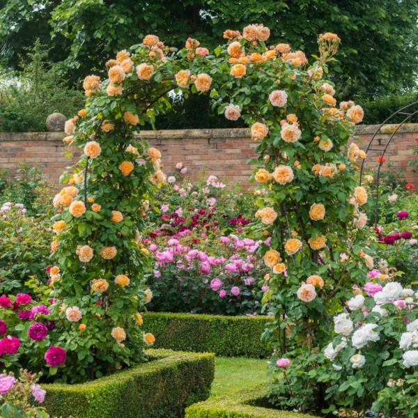 cổng vòm ngập tràn sắc hoa