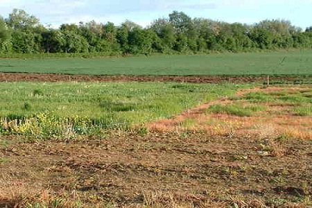 Không cấp Giấy chứng nhận quyền sử dụng đối với đất nông nghiệp sử dụng vào mục đích công ích
