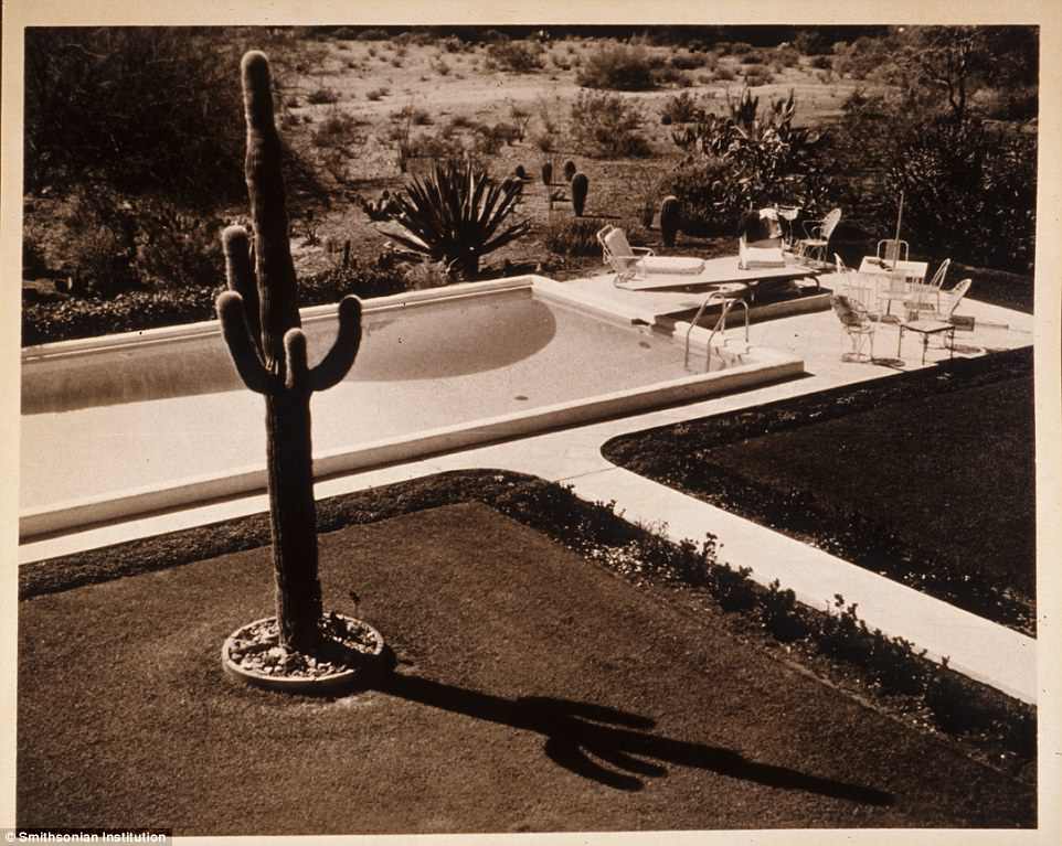 Ảnh trên là sân vườn ở Benton ở Phoenix (Arizona) vào những năm 1940-1950. 