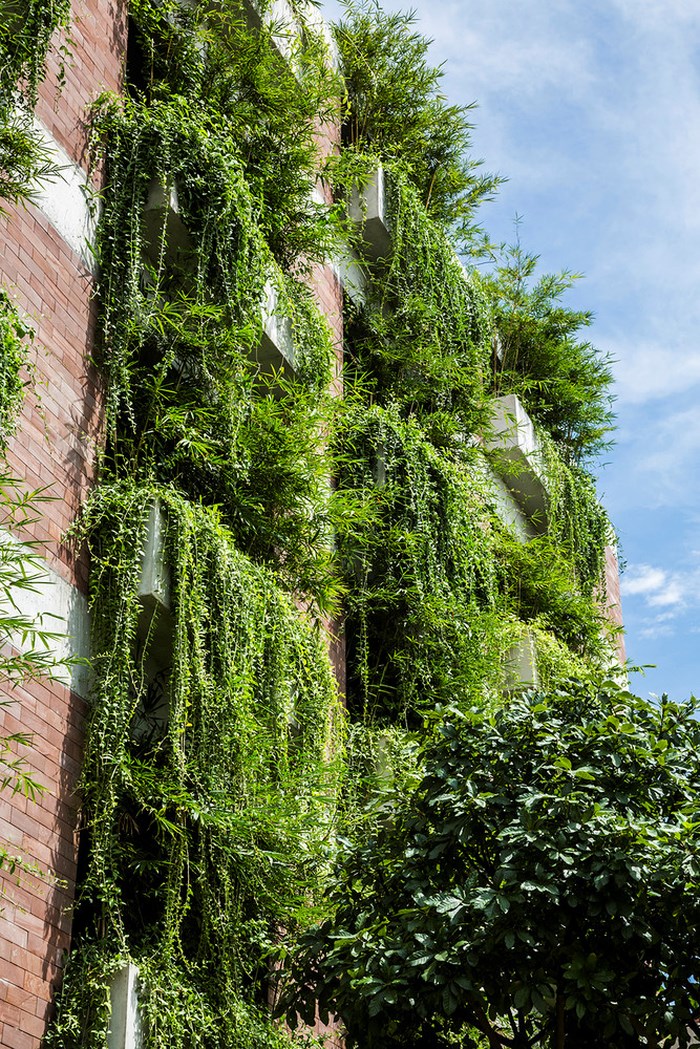 Lớp thảm thực vật mang đến không khí trong lành, mát mẻ cho khách sạn xanh.