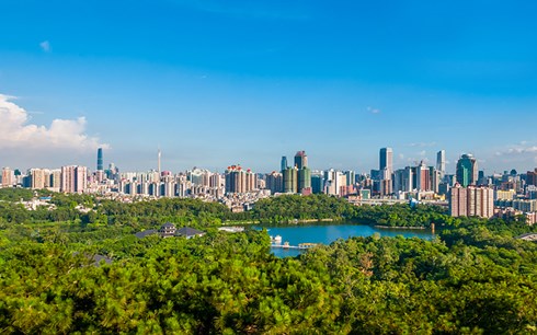 Trung Quốc sẽ có 300 thành phố rừng trong 7 năm tới