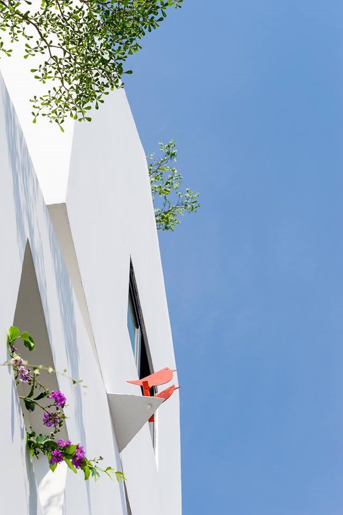 Các loại hoa và cây cảnh xanh mướt giúp công trình nhà chồng nhà sinh động và mềm mại hơn.