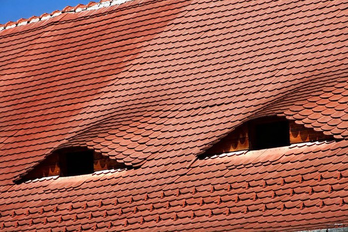 Cận cảnh  phần mái của ngôi nhà có mắt.