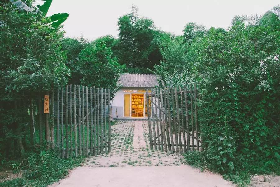 Độc đáo ngôi nhà nhỏ xinh giữa rừng tre trúc ở Trung Quốc