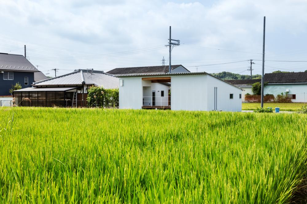 cảnh quan quanh nhà