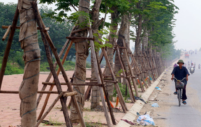 vỉa hè đẹp