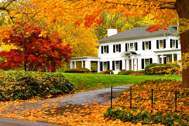 Ngắm những ngôi nhà dưới tán lá vàng mùa thu đẹp tựa tranh vẽ