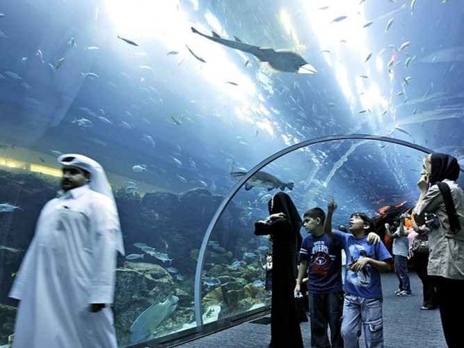 Thủy cung trong Dubai Mall