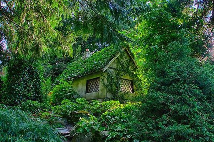 nhà gỗ ở Canada