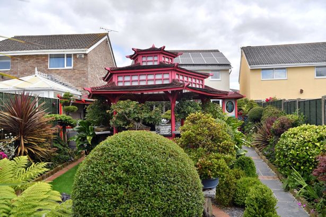 cây bonsai