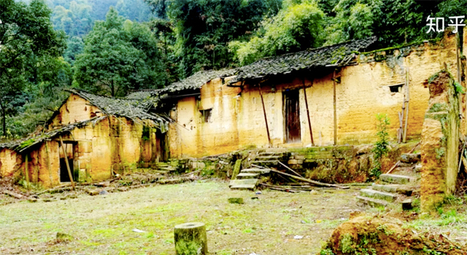 xây homestay trên núi rừng xanh ngát ở Trung Quốc