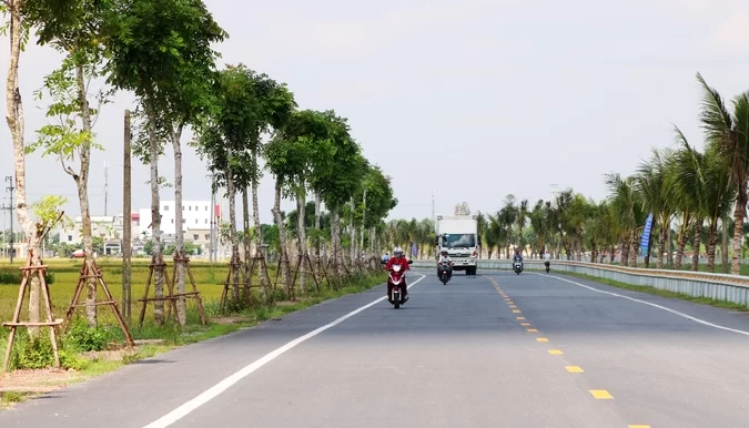  tuyến đường đôi tại Hải Phòng trồng dừa, xà cừ