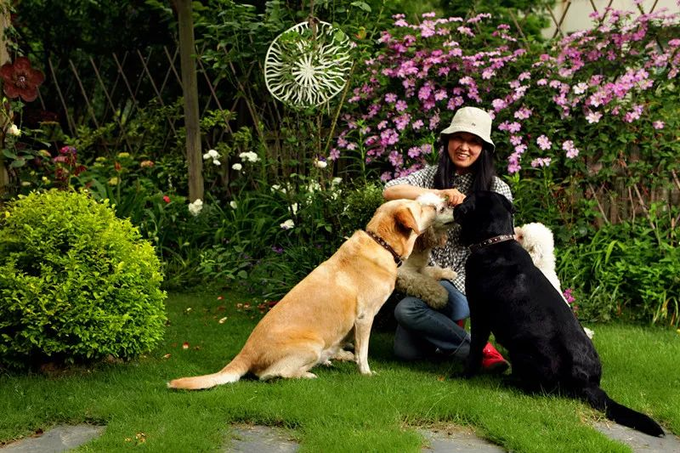 Chen và 3 chú chó cưng của mình