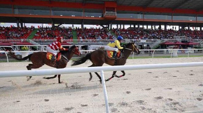 Hình ảnh hai chú ngựa đang chạy trên đường đua, xung quanh là đông đảo giả ngồi trên khán đài cổ vũ