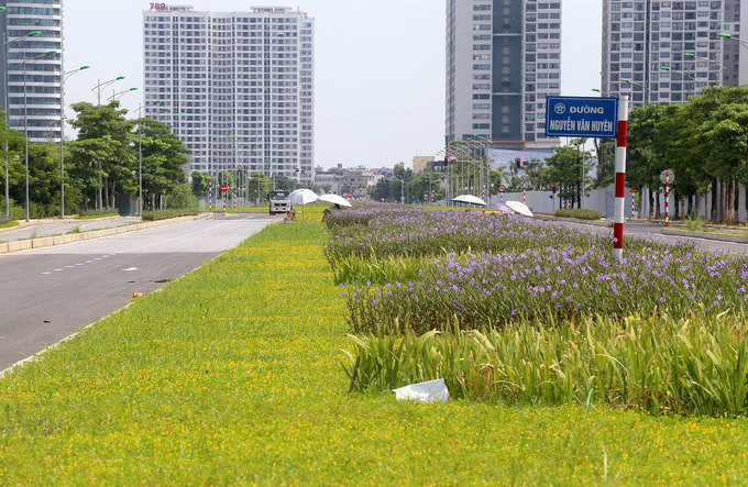 Hình ảnh cận cảnh dải phân cách trên đường Vành đai 2,5 Hà Nội, xung quanh là những tòa nhà cao tầng