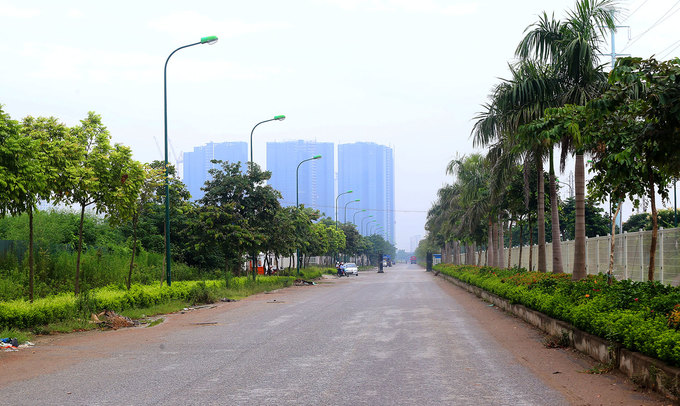 Hình ảnh một tuyến đường ở Hà Nội với cây xanh bao bọc hai bên