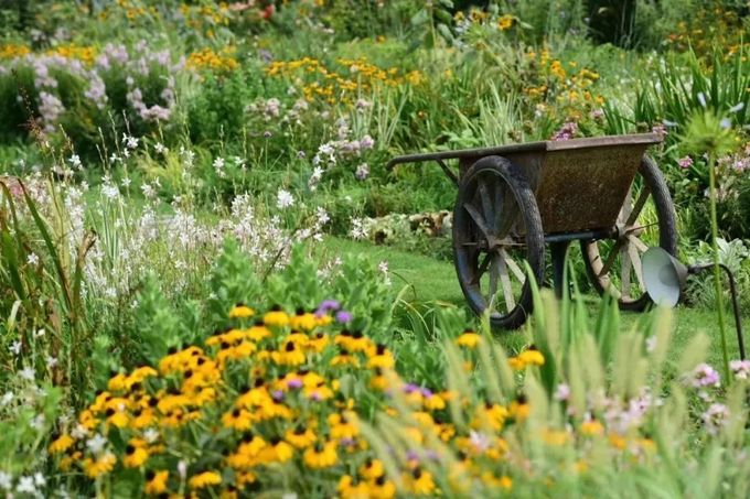 Hình ảnh cận cảnh một góc vườn cổ tích với những bông hoa màu vàng, trắng, tím, xe cút kít