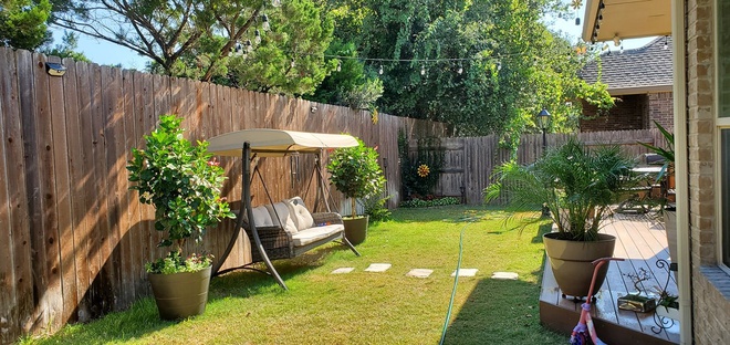 Hình ảnh một góc sân vườn với thảm cỏ xanh mát, tường rào gỗ, xích đu, cây xanh