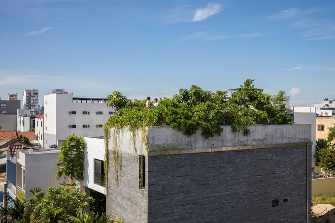 Hình ảnh cận cảnh phần nhà phía trên của ngôi nhà 3 tầng ở Đà Nẵng tường ốp gạch xám, cây xanh bao phủ sân thượng