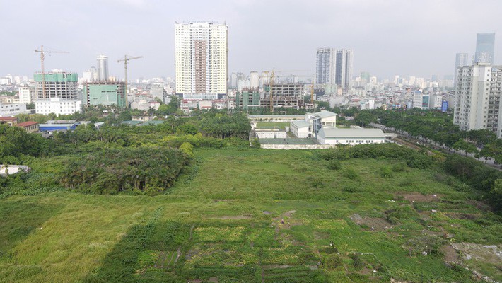 Hình ảnh một khu đất trống, cỏ mục xanh tốt bên cạnh các tòa nhà cao tầng, khu dân cư xen kẽ