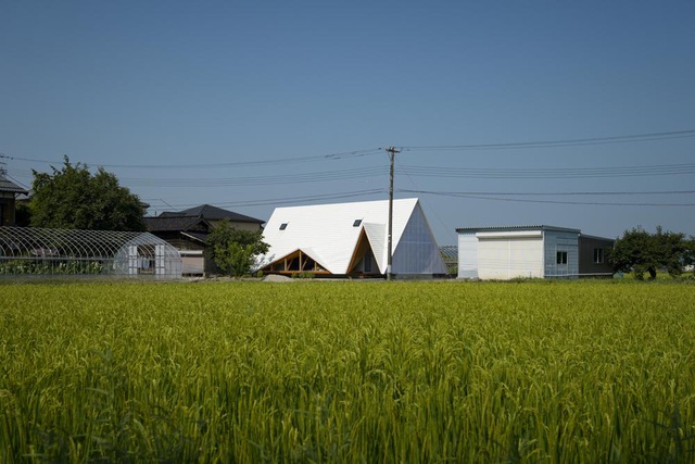 Hình ảnh môt ngôi nhà màu trắng, thiết kế độc đáo nổi bật cạnh cánh đồng lúa xanh mướt