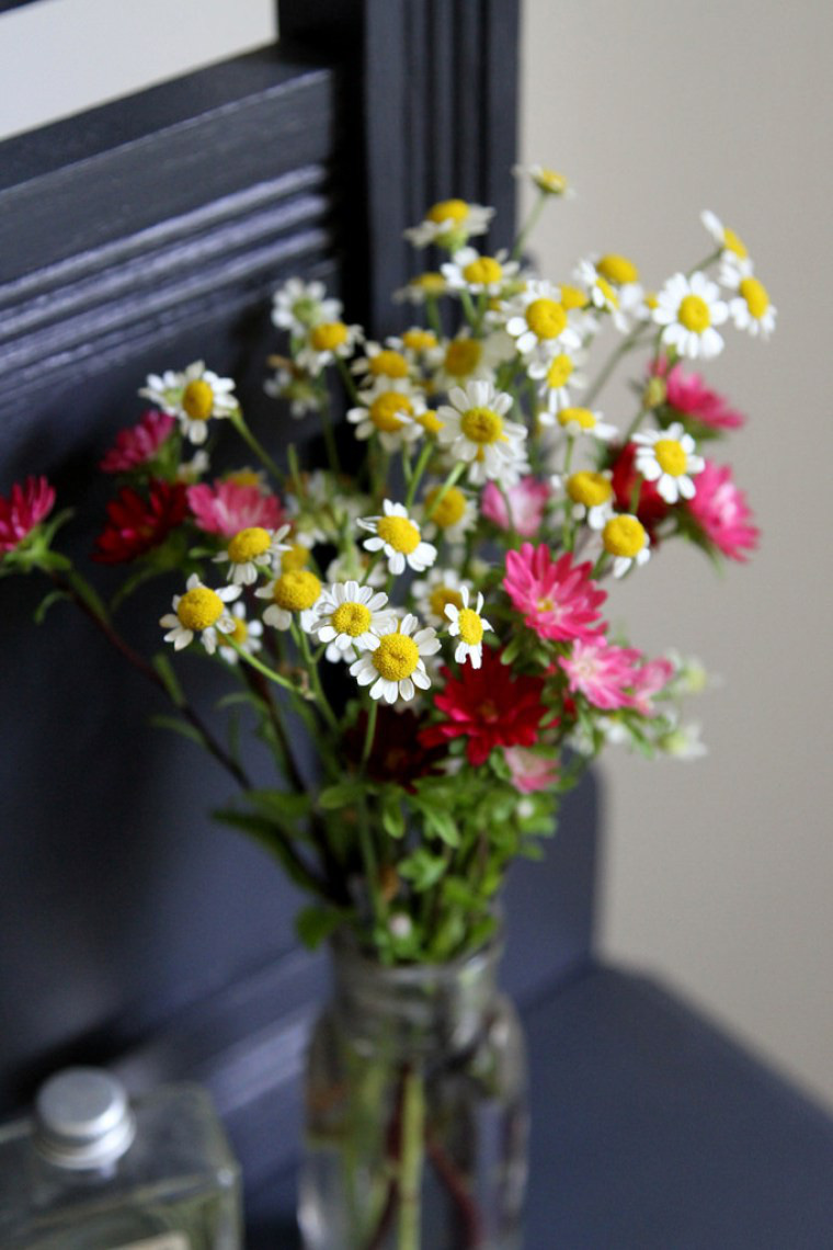 Hình ảnh cận cảnh một bình hoa cúc với màu tím, trắng, vàng xen kẽ