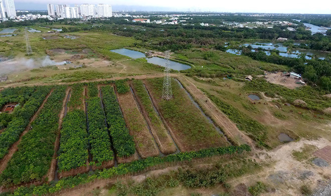 Hình ảnh khu đất mà Công ty Tân Thuận chuyển nhượng cho Quốc Cường Gia Lai