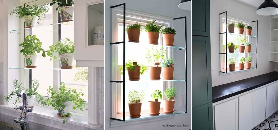 Hình ảnh vườn cây mini trong phòng bếp cao 3 tầng, đặt trên giá kính gắn vào khung cửa sổ