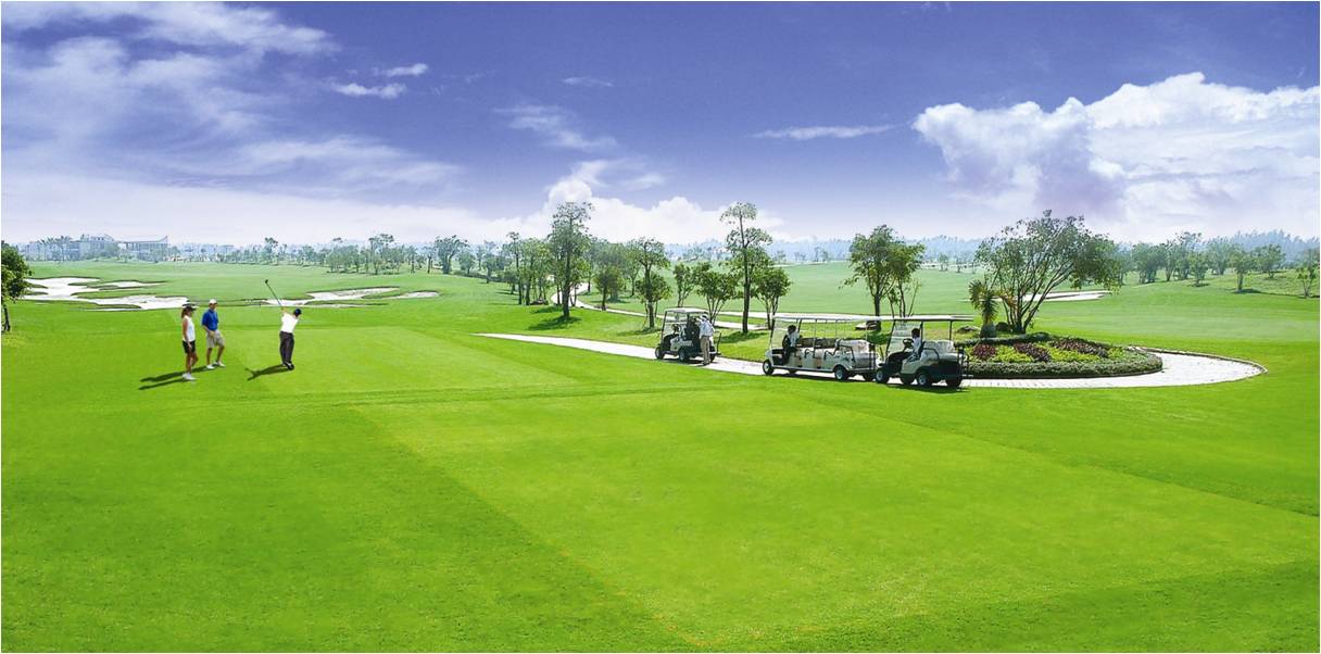 Hình ảnh một góc sân golf với thảm cỏ xanh mướt, một nhóm người chơi golf, xe điện