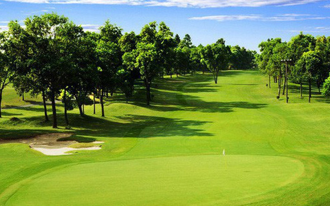 Hình ảnh một góc sân golf với thảm cỏ xanh mướt, cây xanh phát triển tươi tốt