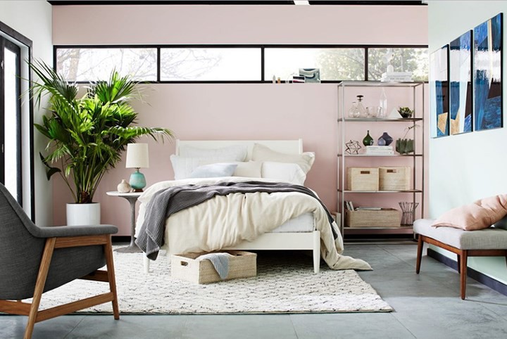 Hình ảnh một phòng ngủ phong cách hiện đại với tường sơn màu hồng phấn nhẹ nhàng, kệ treo tường, ghế ngồi thư giãn, điểm nhấn là chậu cây xanh lớn ở góc phòng