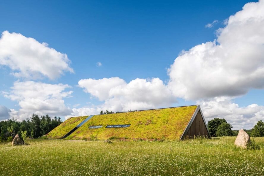 Hình ảnh mái nhà phủ cỏ xanh mướt ở Ba Lan, xung quanh là rừng cây