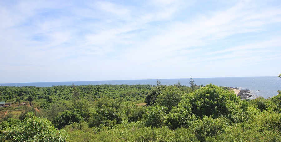 Hình ảnh một dải đất ven biển ngập tràn cây xanh nhìn từ trên cao