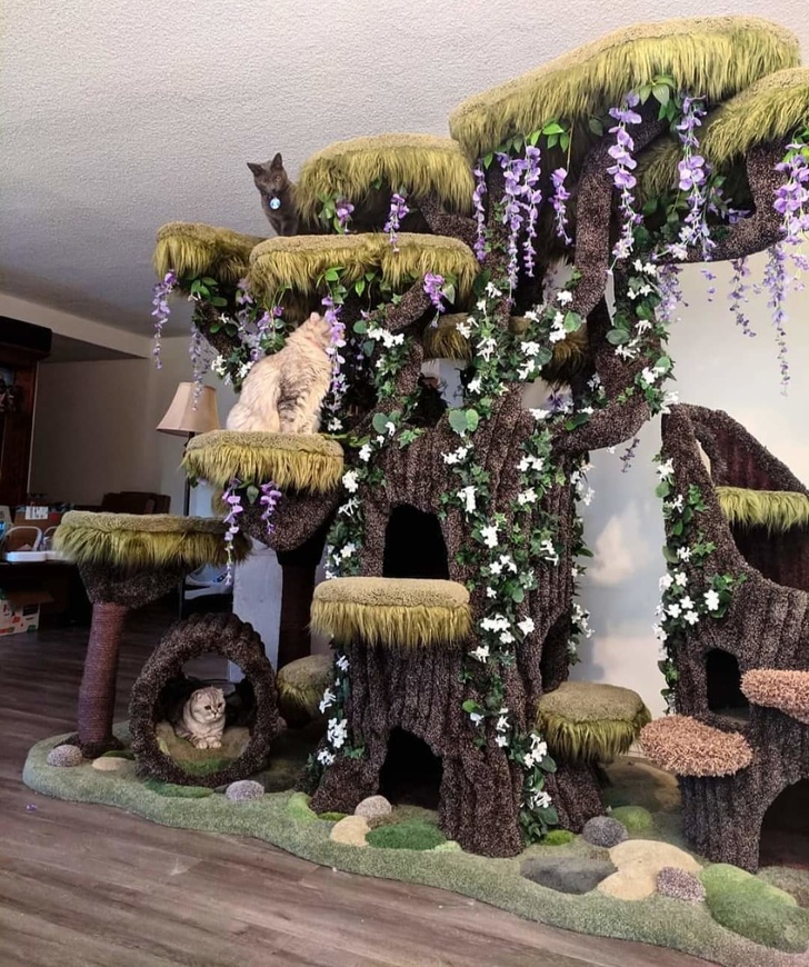 Hình ảnh ngôi nhà hình cây độc đáo dành cho những chú mèo