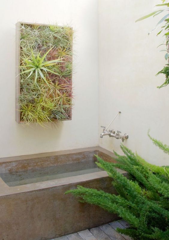 Hình ảnh cận cảnh mảng cây không khí trong phòng tắm hiện đại
