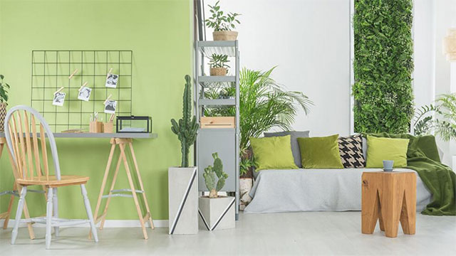 Hình ảnh phòng khách vơi sofa xám, cạnh đó là góc làm việc nhỏ gọn, tường sơn màu xanh lá nhạt, kệ trồng cây cảnh
