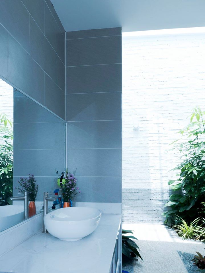 Hình ảnh cận cảnh một góc phòng tắm với bồn rửa sứ màu trắng, gương lớn gắn tường, tường ốp gạch màu xám, cạnh đó là những bồn cây xanh tốt.