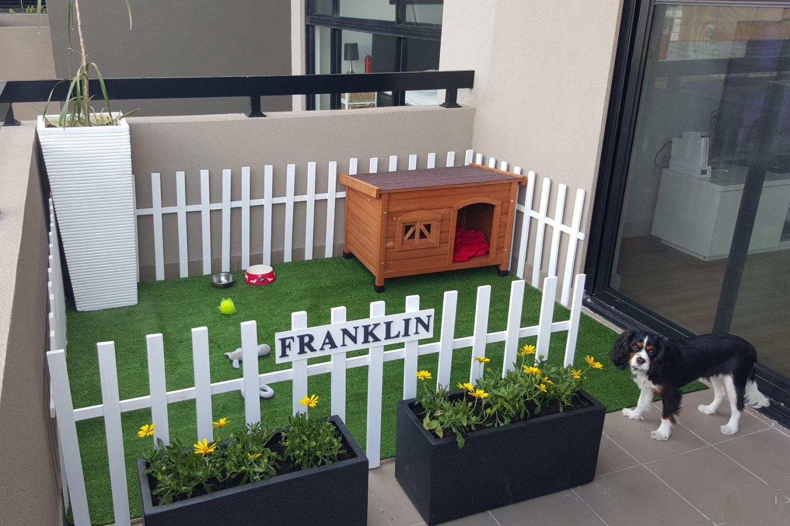 Hình ảnh toàn cảnh nhà cho chó cưng ở ban công với tường rào trắng bao quanh, lát thảm cỏ nhân tạo, nhà gỗ nhỏ, cạnh đó là chú chó nhỏ màu đen