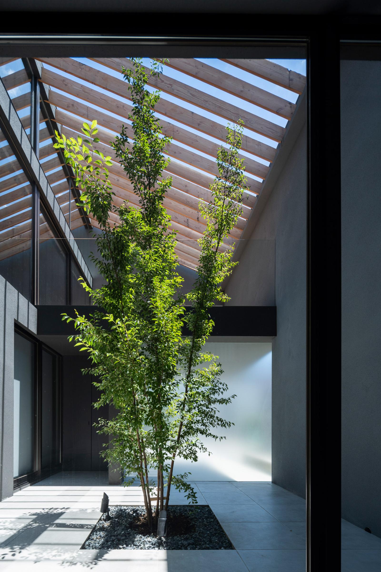 Hình ảnh cận cảnh bồn cây xanh mát ở sân trong ngôi nhà, xung quanh là hệ cửa kính trượt