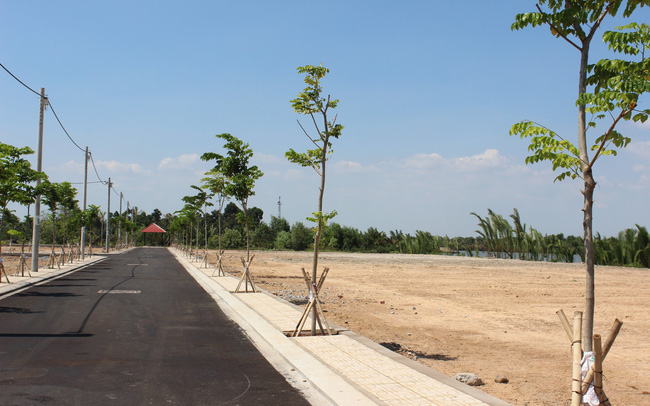 Hình ảnh cận cảnh một con đường trải nhựa thảng táp, hai bên trồng cây xanh, xung quanh là các lô đất nền