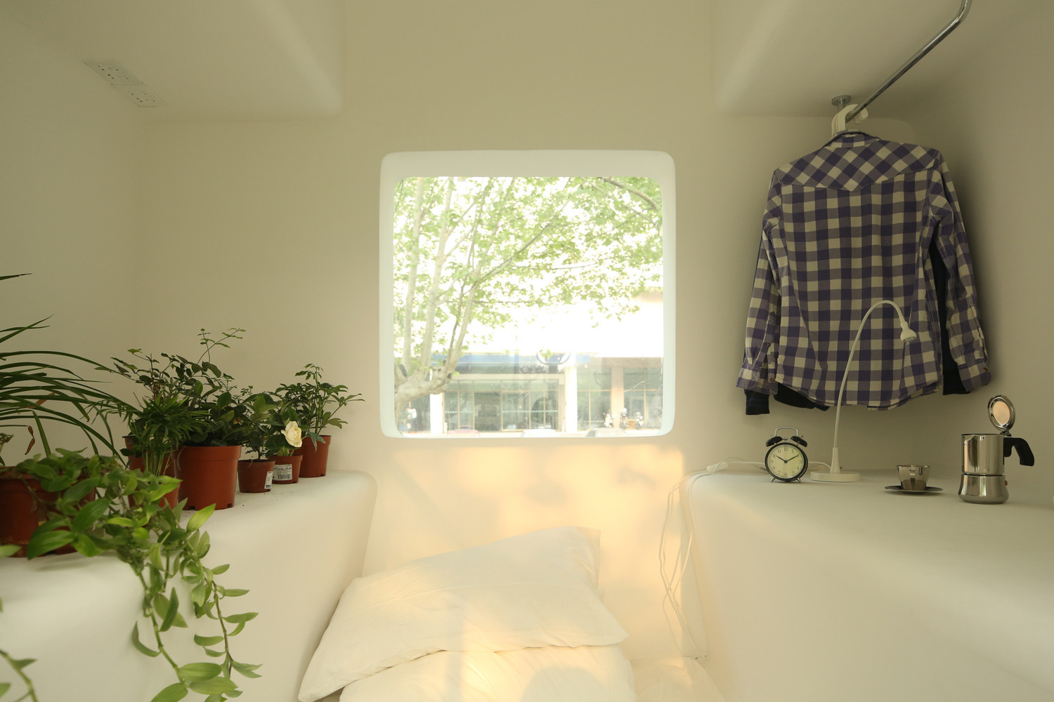 Hình ảnh một căn phòng tông màu trắng chủ đạo với khung cửa sổ lớn mở ra cảnh quan bên ngoài, những chậu cây xanh đặt sát tường, cạnh đó là móc treo quần áo gọn gàng.