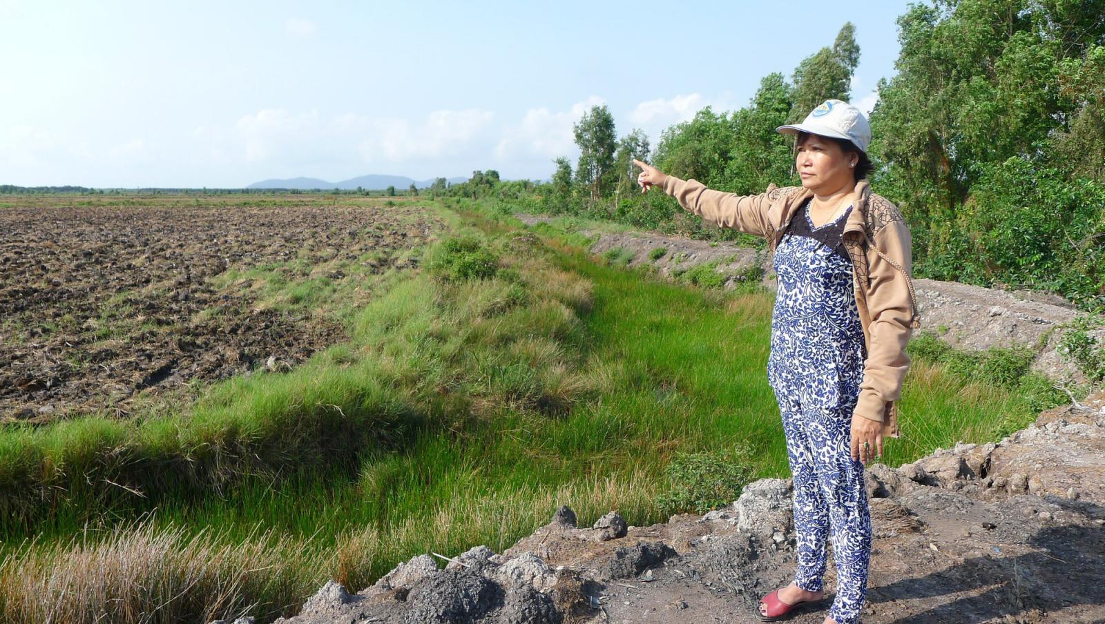 Hình ảnh một người phụ nữ luống tuổi đang đứng xem và chỉ tay về một khu đất trống 