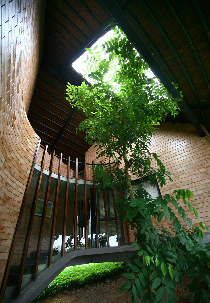 Hình ảnh cận cảnh khoảng thông tầng thoáng sáng, trồng cây xanh trong nhà ông Hùng