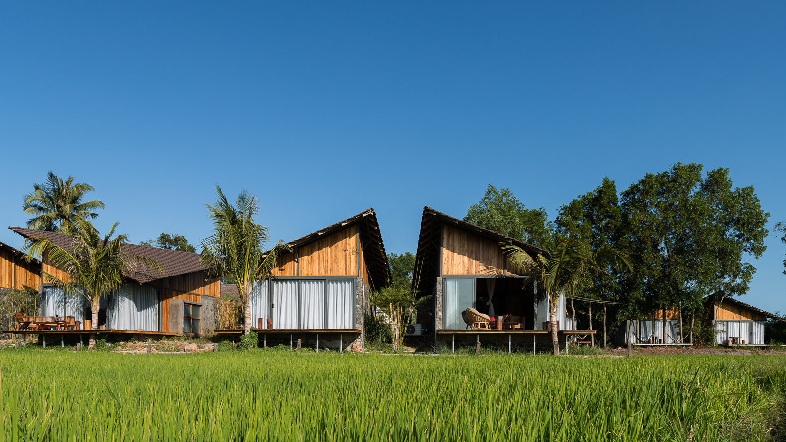 Hình ảnh nhà nghỉ dưỡng nhìn ra đồng lúa xanh ngát với mái dốc ấn tượng, xung quanh nhiều cây lớn 