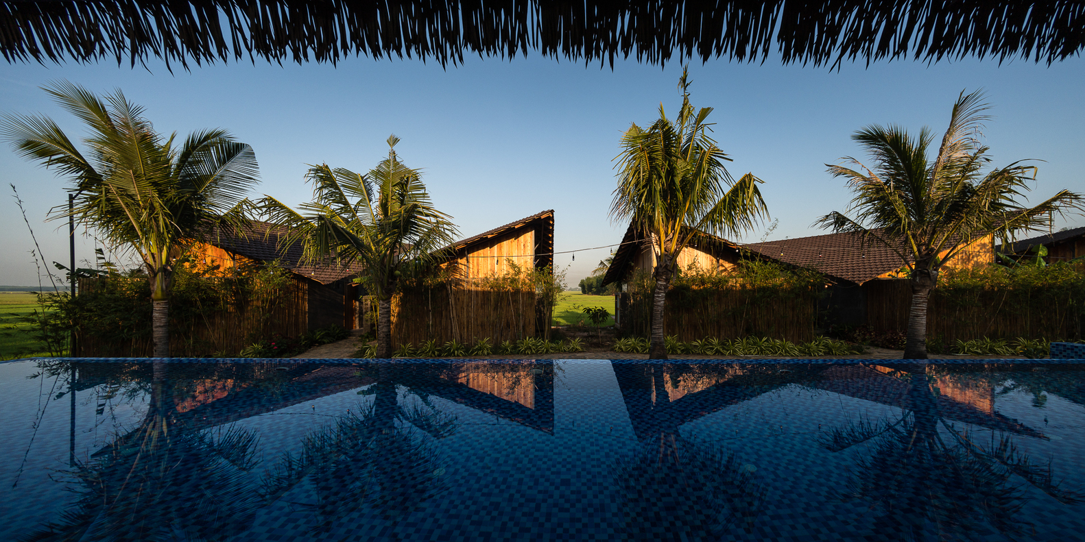 Hình ảnh mặt sau nhà nghỉ dưỡng với bể bơi vô cực, cau, dừa bao quanh