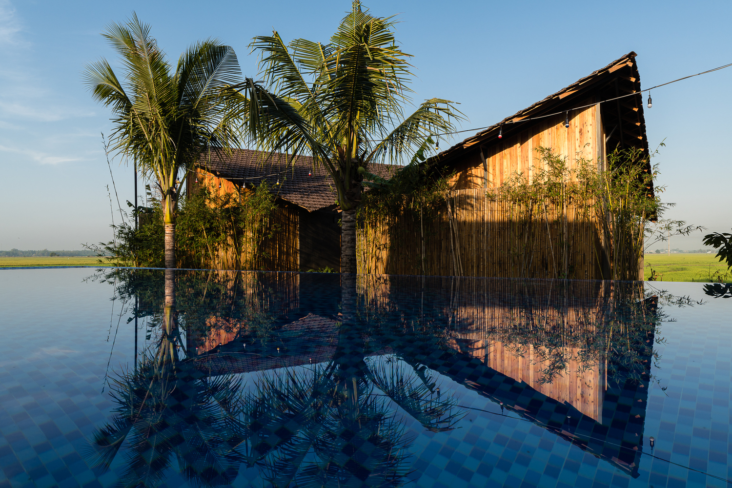 Hình ảnh cận cảnh nhà nghỉ dưỡng nhìn ra ruộng lúa, phía sau là bể bơi vô cực, rặng dừa bao quanh