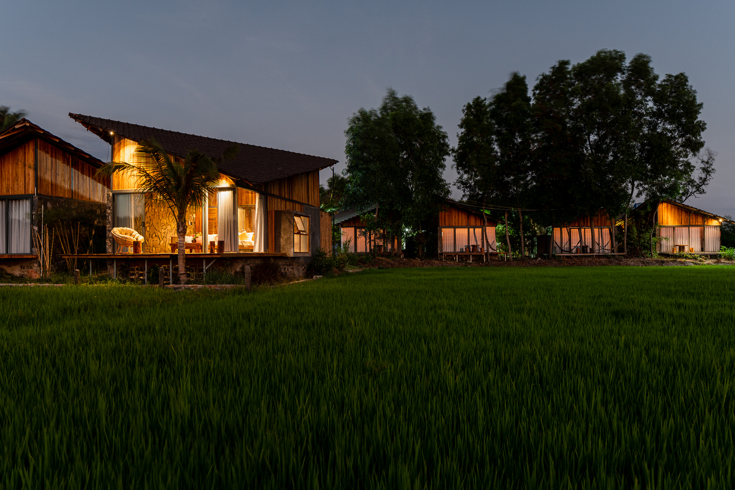 Hình ảnh khu nhà nghỉ dưỡng cạnh ruộng lúa khi đêm xuống với ánh đèn vàng ấm áp