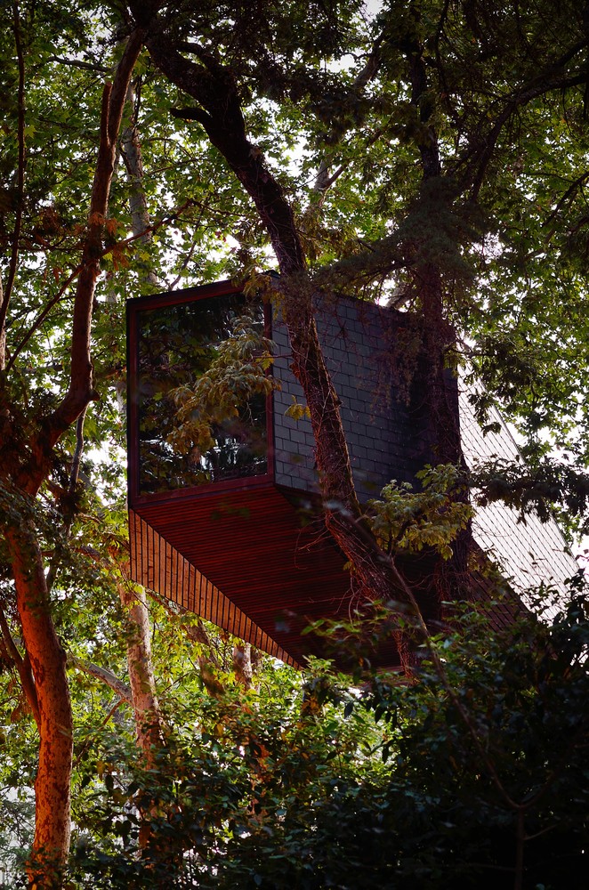 Hình ảnh cận cảnh phần đầu nhà nghỉ dưỡng hình rắn với cửa kính lớn, xung quanh nhiều cây xanh