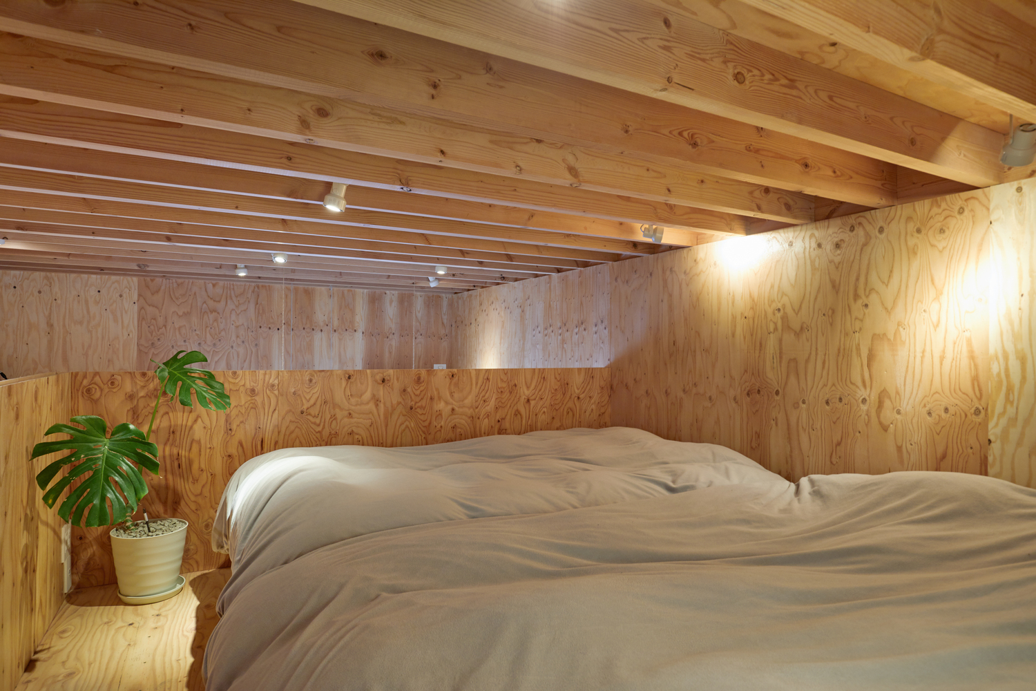 Hình ảnh phòng ngủ trên gác xép với tường, trần bằng gỗ, chậu cảnh lớn ở góc tạo điểm nhấn