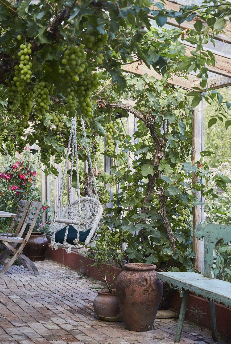 hình ảnh một góc sân vườn sau nhà đa năng với giàn nho xanh, xích đu thư giãn và bàn ghế ăn ngoài trời
